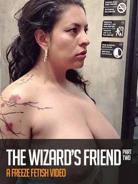 The Wizard’s Friend, pt. 2